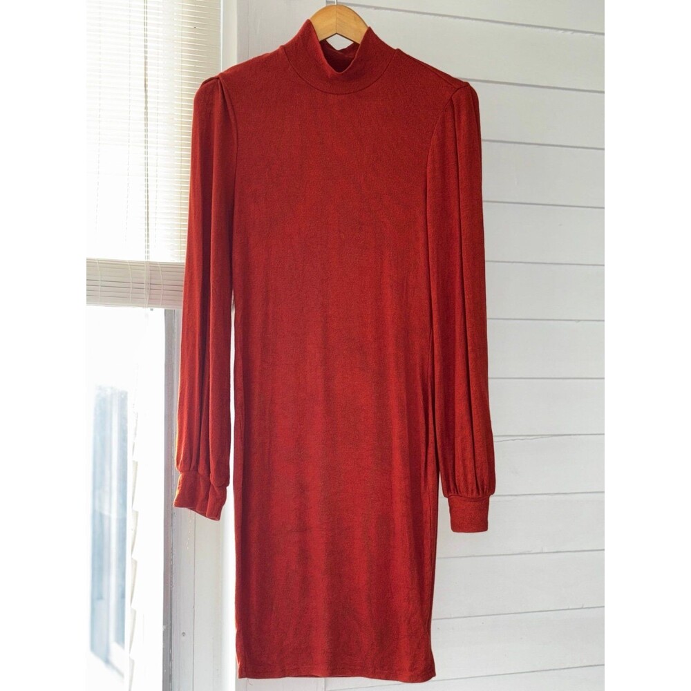 Rusty Orange Dress with Fun long Sleeves